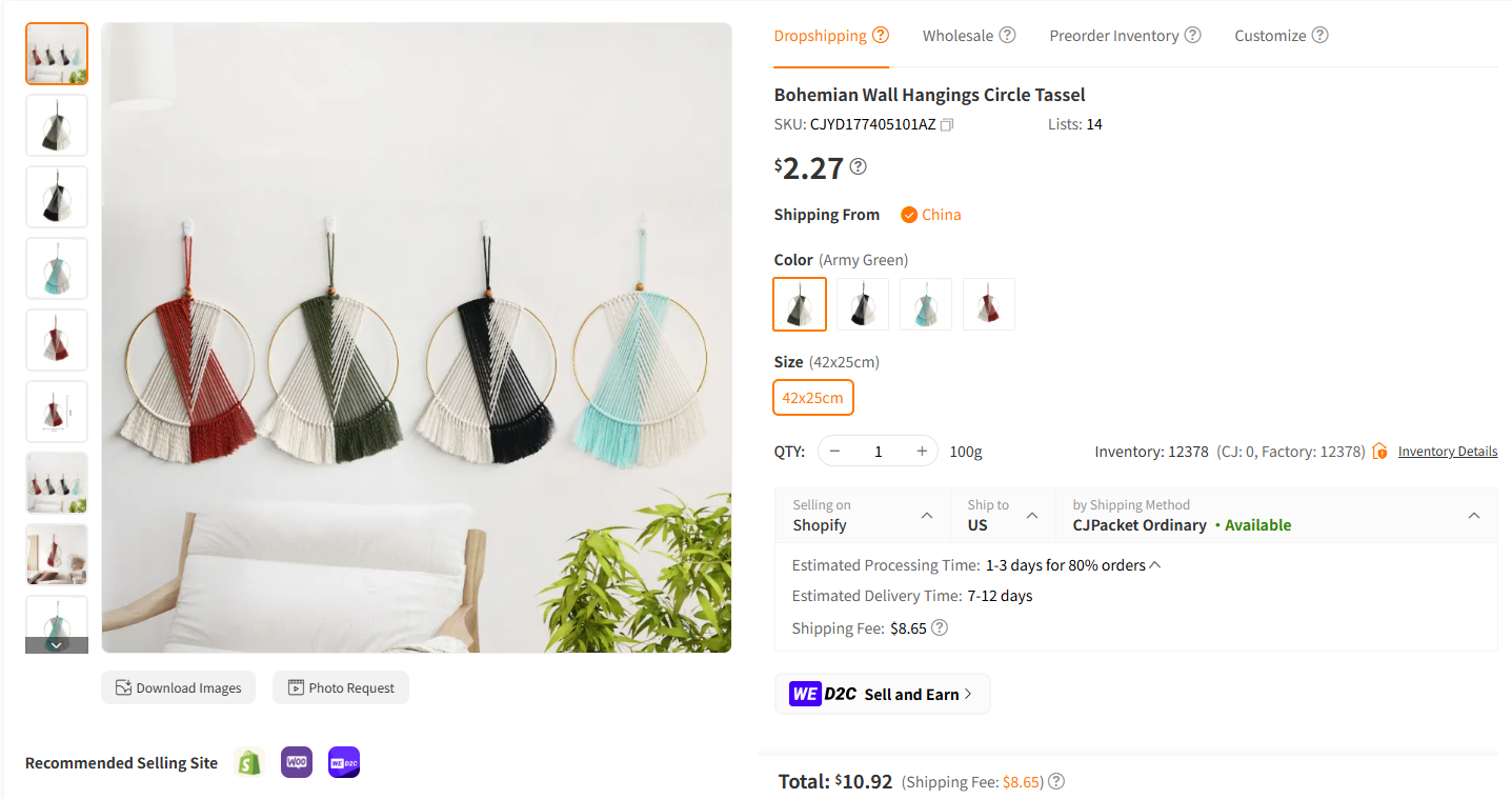 Bohemian Macramé Wall Hangings